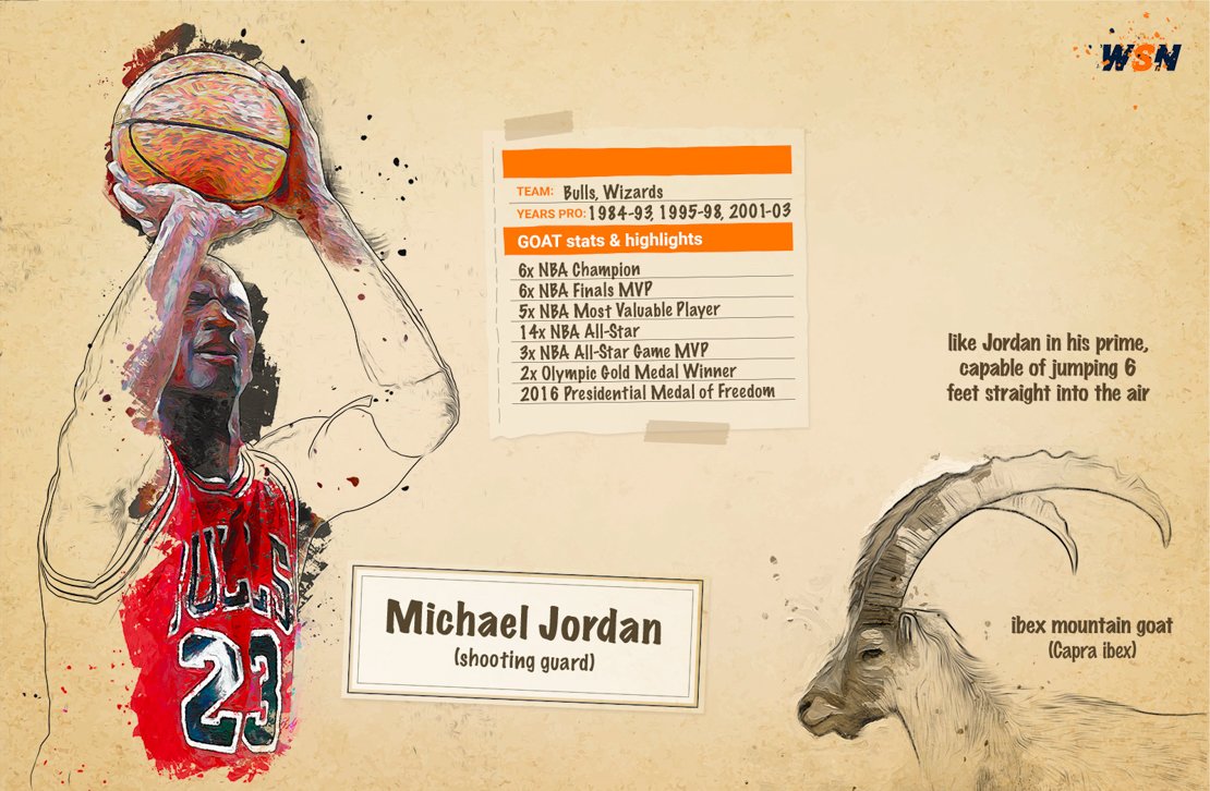 Michael Jordan GOAT
