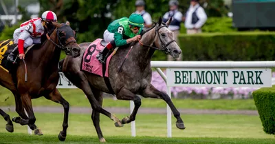 Belmont Park Picks, Tips and Handicapping