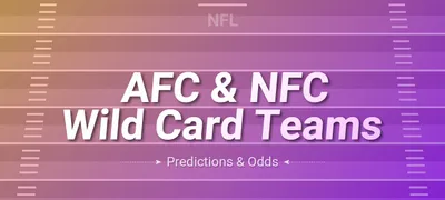 AFC and NFC Wild Card Teams
