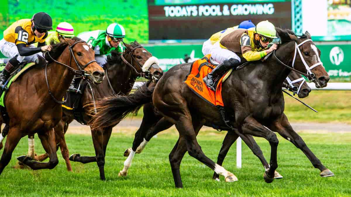 Hill Prince Stakes Predictions, Top Picks, Odds