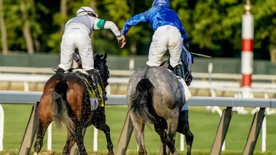 Best Horse Racing Picks This Weekend Aqueduct and Los Alamitos