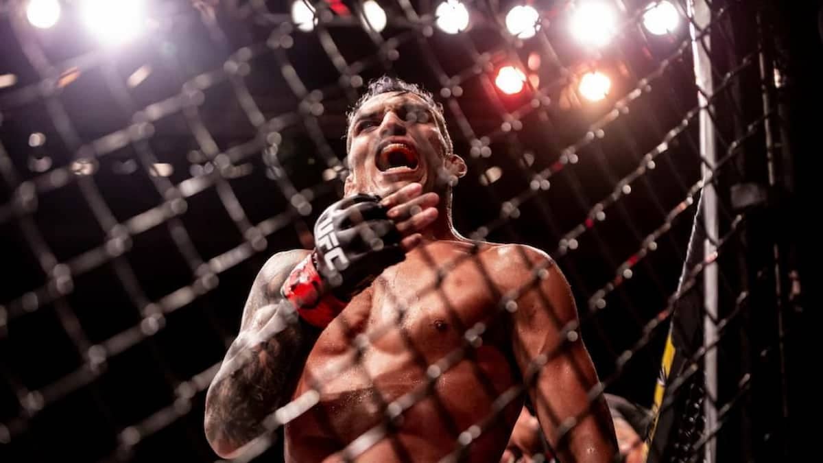 UFC 274: Oliveira vs Gaethje Picks, Predictions, Odds