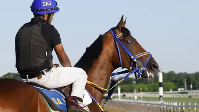 West Virginia Derby: Skippylongstocking Will Be Ready to Run Well at Some Decent Odds